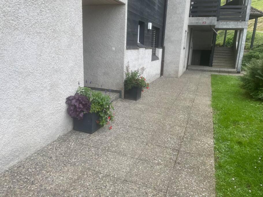 Magnifique Studio A Moleson Zewnętrze zdjęcie